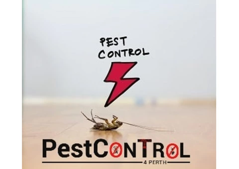 Cockroach Control Perth - 6/7