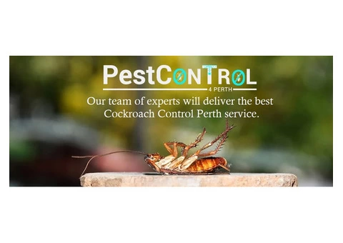 Cockroach Control Perth - 7/7