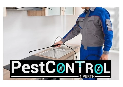 Spider Control Perth - 5/7