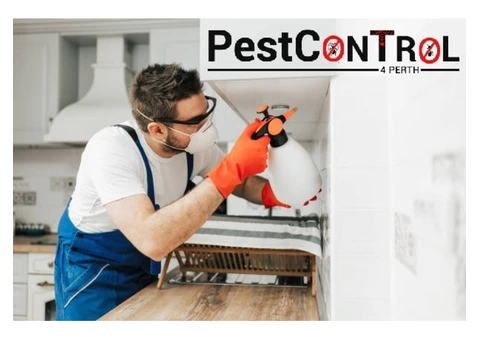 Spider Control Perth - 6/7