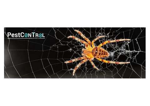 Spider Control Perth - 7/7