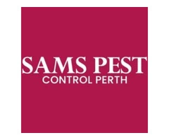 Bed Bugs Control Perth