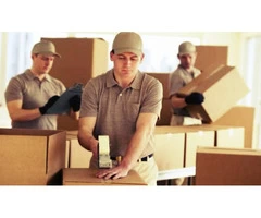 Removalist North Shore