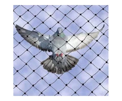 Bird Pest Control Melbourne