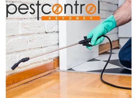 Termite Inspection Sydney - 1/8