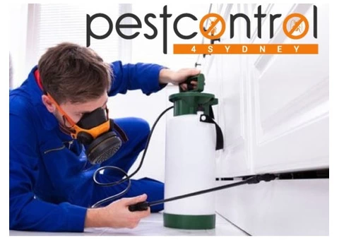 Termite Inspection Sydney - 7/8