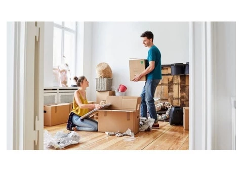 Removalist Chester Hill
