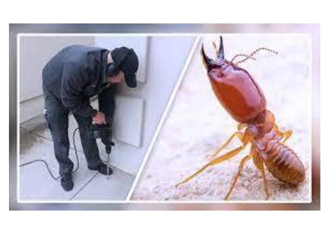 Pest Control Parramatta