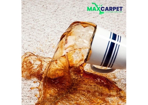 Carpet Stain Removal Adelaide - 1/4