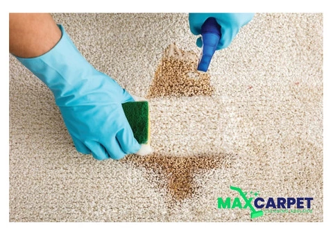 Carpet Stain Removal Adelaide - 2/4