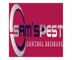 Silverfish Control Brisbane