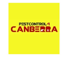Mite Control Canberra