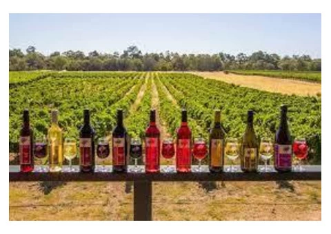 Perth airport transfers - 2/8