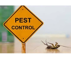 Are you looking for pest control services? We can help.