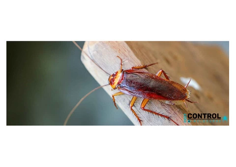 General Pest Control Melbourne - 1/5