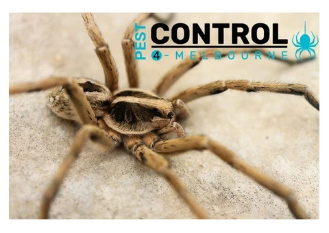 General Pest Control Melbourne - 2/5