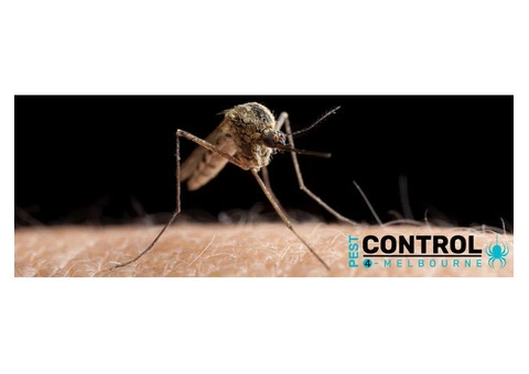 General Pest Control Melbourne - 3/5