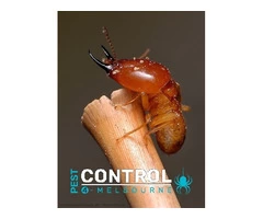 Termite Control Melbourne