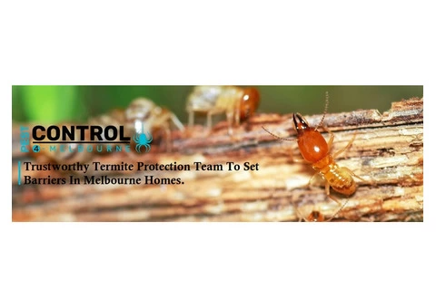 Termite Control Melbourne - 8/8