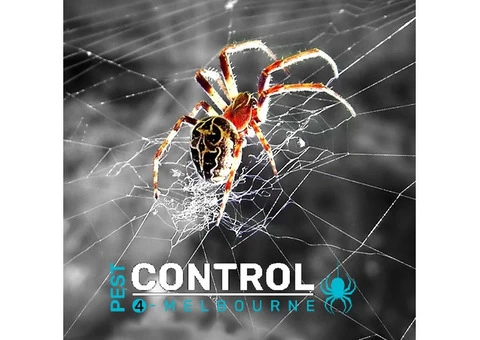 Spider Control Melbourne - 1/7