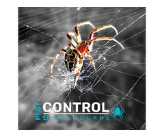 Spider Control Melbourne