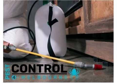 Spider Control Melbourne - 4/7