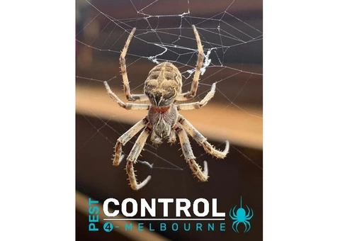 Spider Control Melbourne - 5/7
