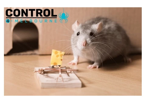 Rodent Control Melbourne - 5/6