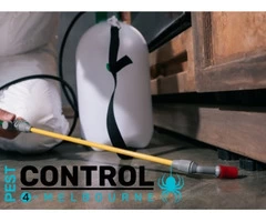 Flea Control Melbourne