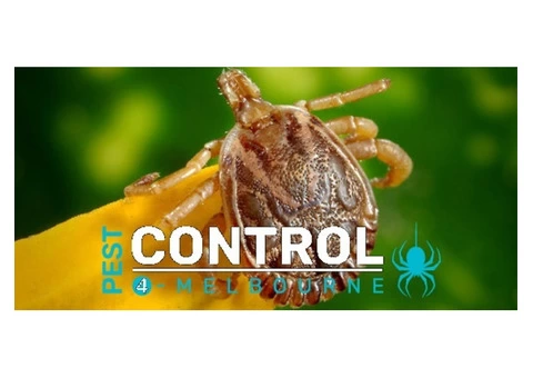 Flea Control Melbourne - 4/6