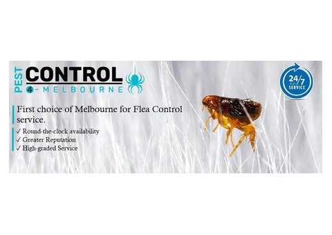 Flea Control Melbourne - 5/6
