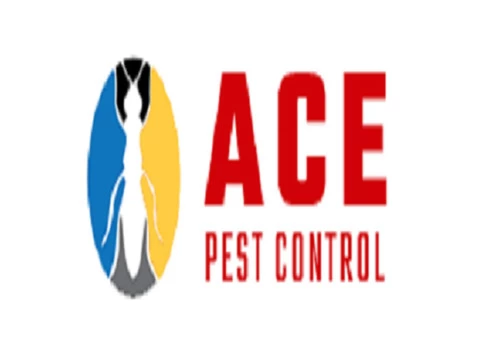 Ace Possum Removal Brisbane