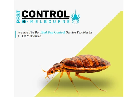 Bed Bug Removal & Treatment Melbourne - 1/6