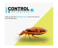 Bed Bug Removal & Treatment Melbourne