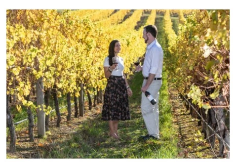 Private Wine Tour Adelaide