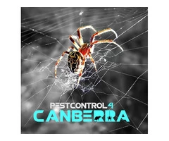 Spider Control Canberra