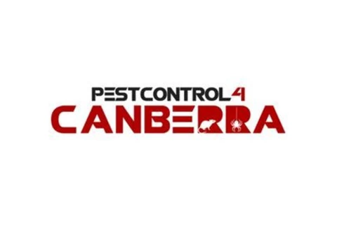 Spider Control Canberra - 2/6