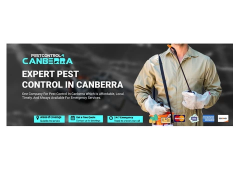 Spider Control Canberra - 3/6