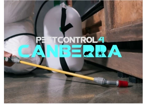 Spider Control Canberra - 4/6