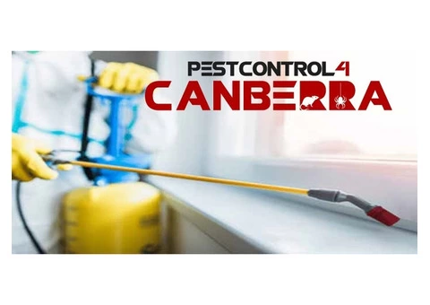 Spider Control Canberra - 5/6