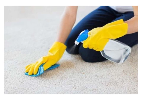 Hire us for professional Dust Mite Cleaning Services