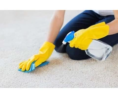 Hire us for professional Dust Mite Cleaning Services