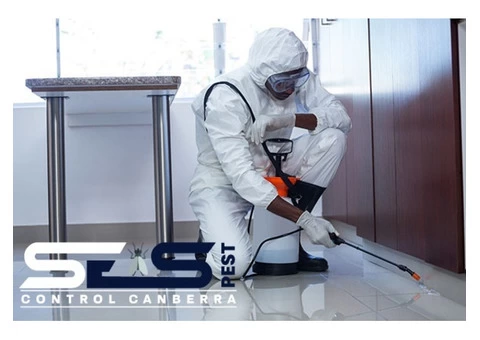 Possum Removal Canberra - 5/8