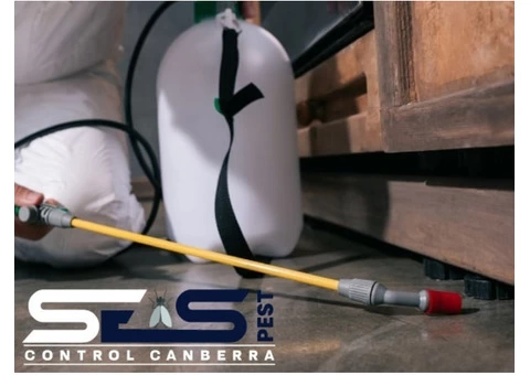 Possum Removal Canberra - 6/8