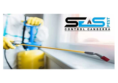 Possum Removal Canberra - 7/8