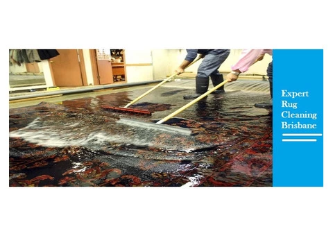 Back 2 New Rug Cleaning Brisbane - 2/2