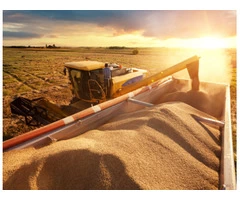 Want to quickly clean your grain?