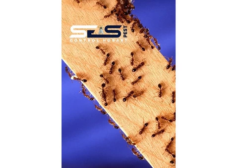 Ant Control Hobart - 2/4