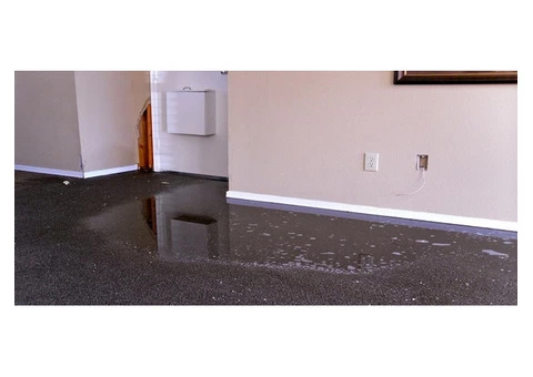 Back 2 New Water Damage Restoration Brisbane - 1/5
