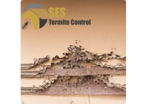 Termite Inspections Melbourne - 3/4